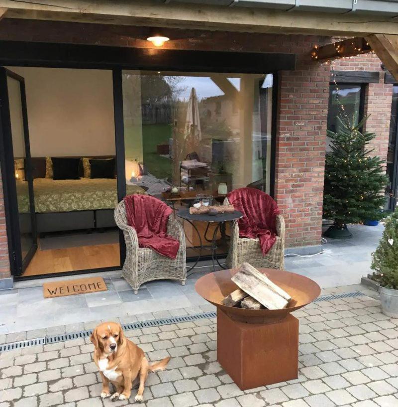 B&B Den Biesthoek Grimbergen Exteriér fotografie
