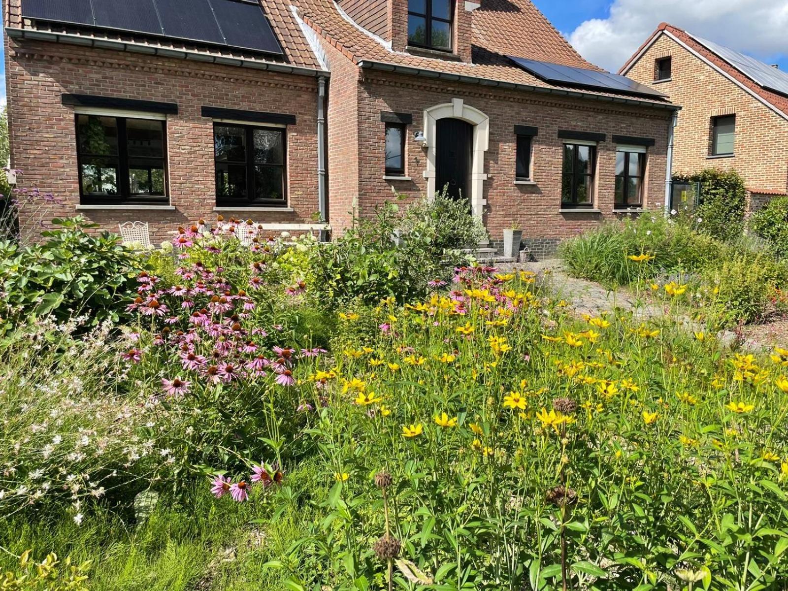 B&B Den Biesthoek Grimbergen Exteriér fotografie