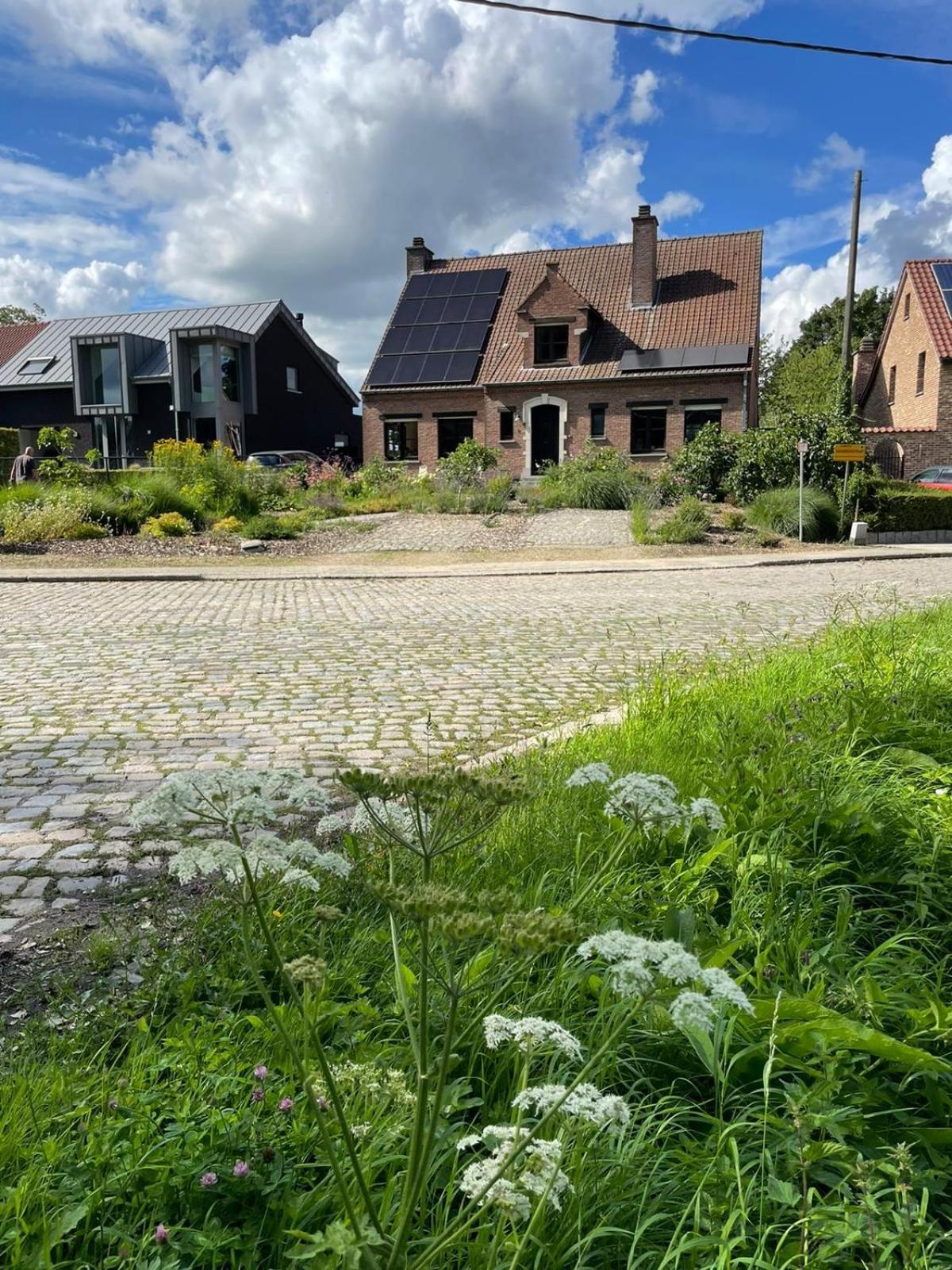 B&B Den Biesthoek Grimbergen Exteriér fotografie