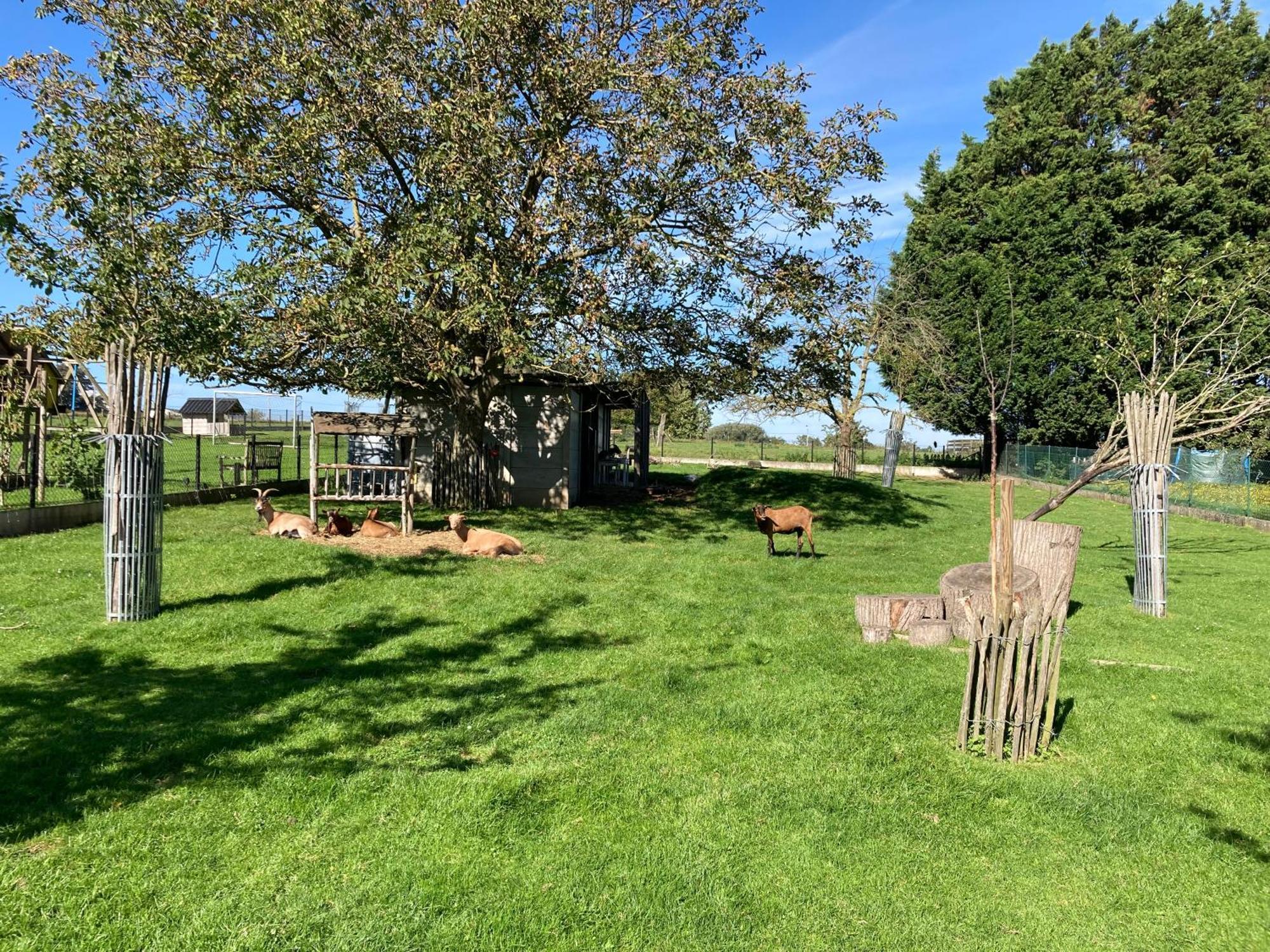 B&B Den Biesthoek Grimbergen Exteriér fotografie