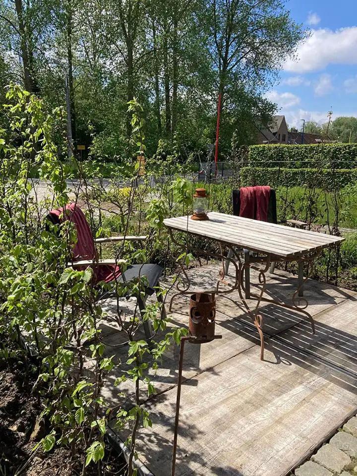B&B Den Biesthoek Grimbergen Exteriér fotografie